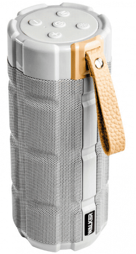 Bluetooth колонка Walker WSP-170 BT5.0/10Вт/2400mAh/4ч серая