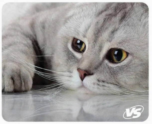 Perfeo Коврик для компьютерной мыши "Cat", Рис.2 (350*300*3 мм), ткань+резиновое основание